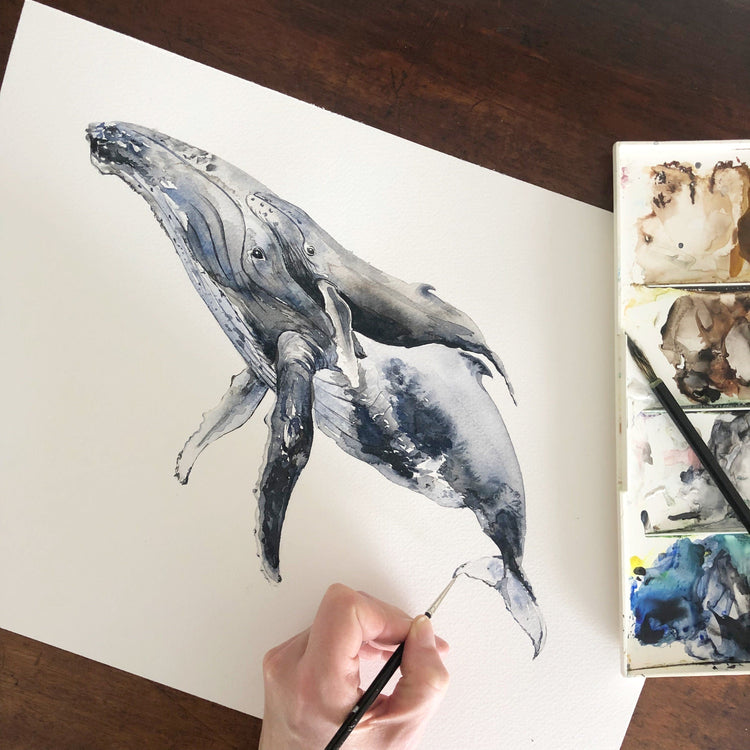 Underwater Animal Art Prints