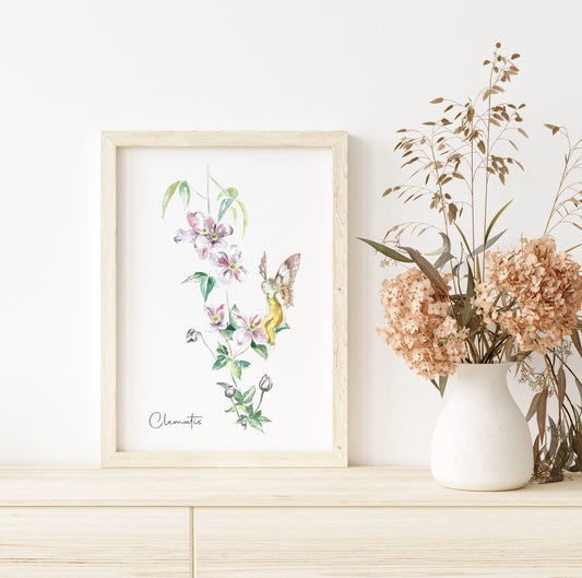 Clematis Fairy Fine Art Print