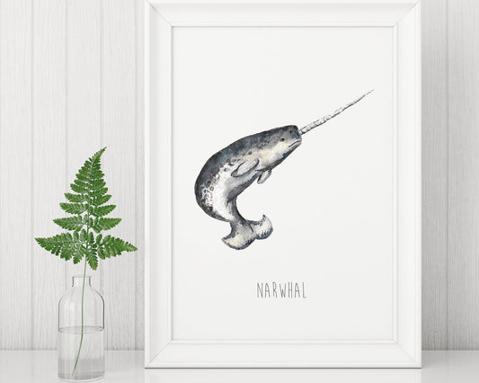 Narwhal art print from original watercolour artwork