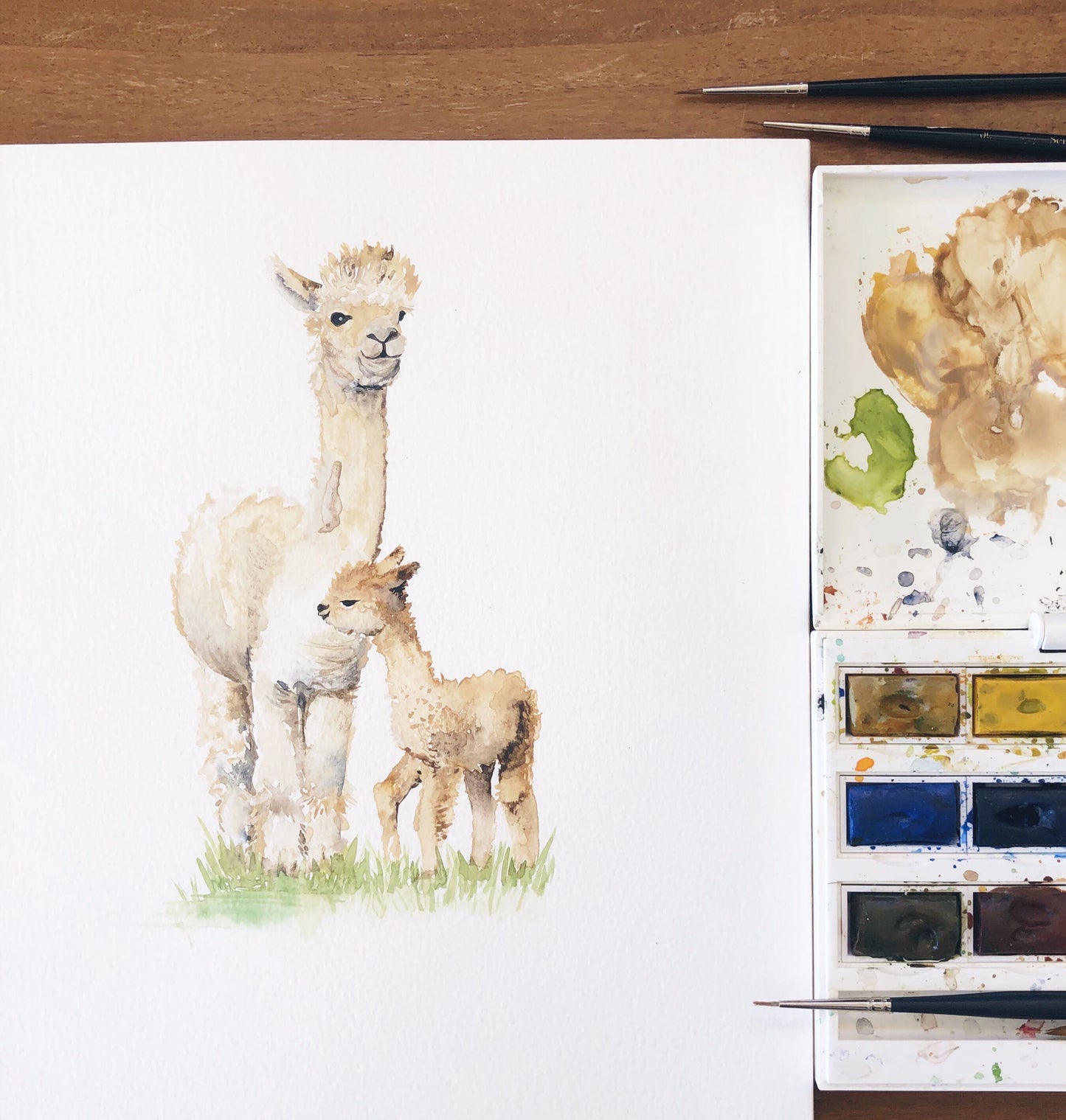 Alpaca new baby greetings card