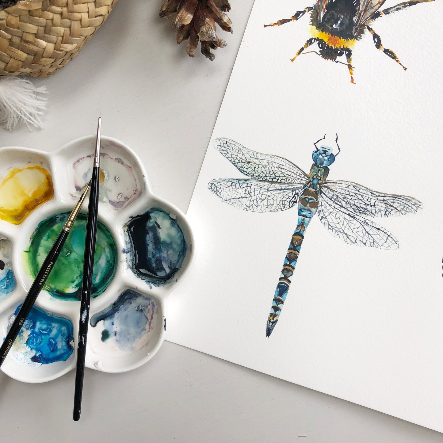 Dragonfly Greetings Card