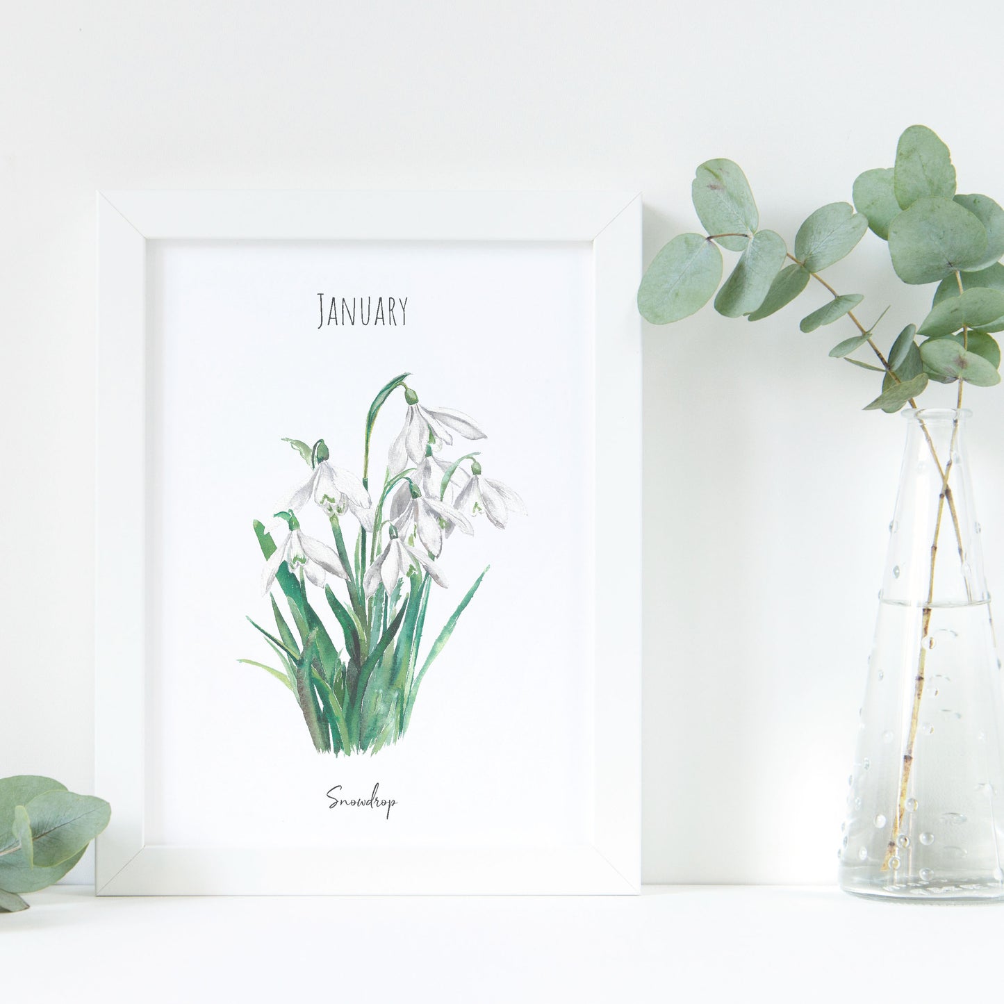 Snowdrop - January Birth Flower - Watercolour Fine Art Print