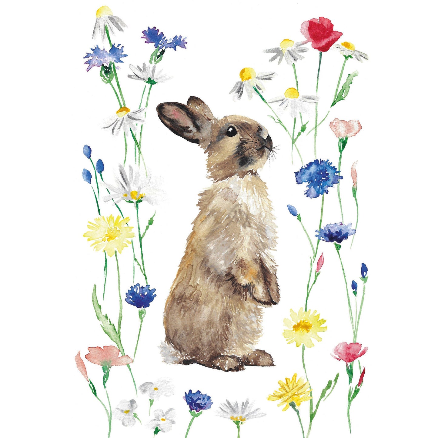 Spring bunny rabbit watercolour greetings card