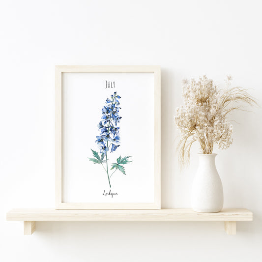 Larkspur - July Birth Flower - Watercolour Fine Art Print