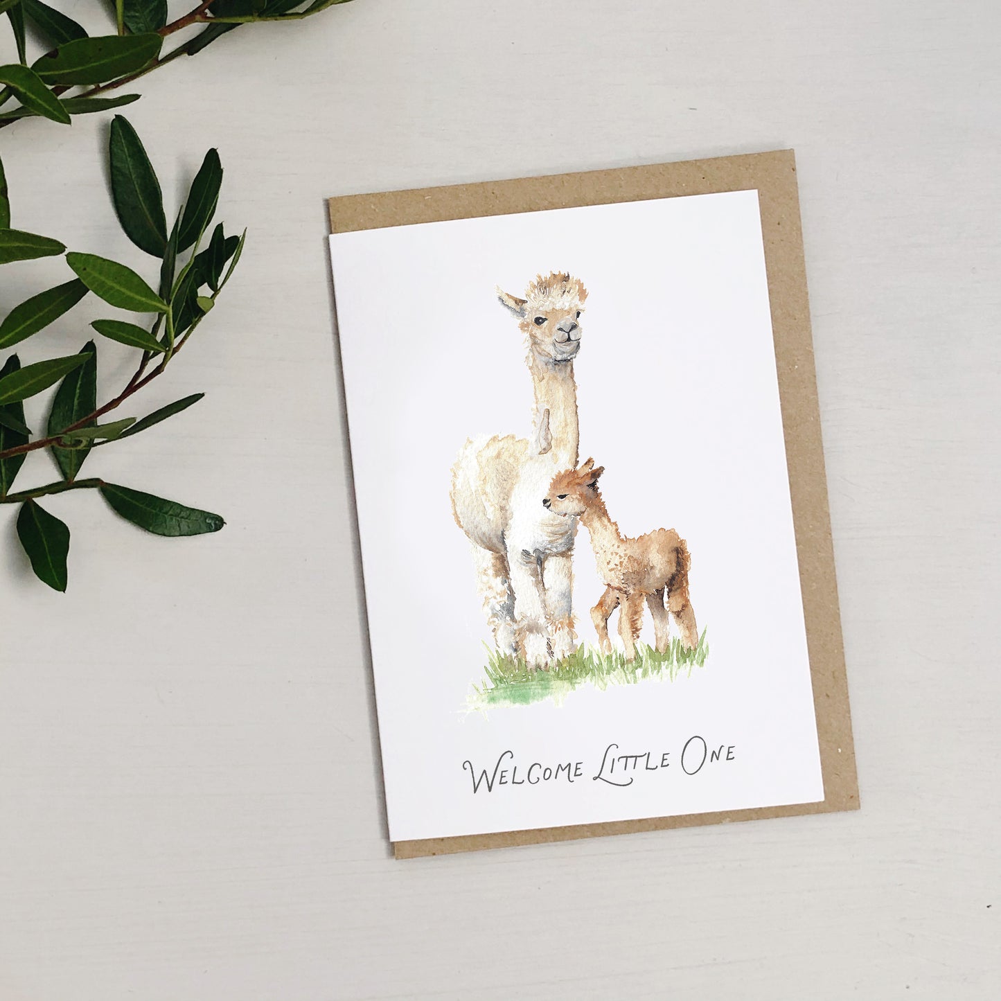 Alpaca new baby greetings card