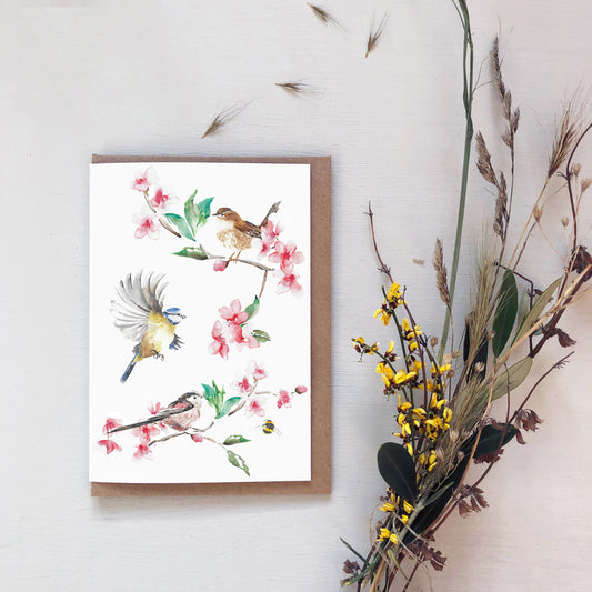 Hand-Painted Watercolour Garden Bird Greeting Card – Robin &  Wren