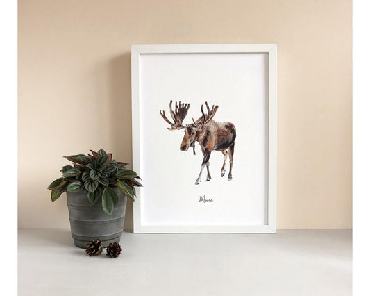 Moose - Personalised Watercolour Fine Art Print