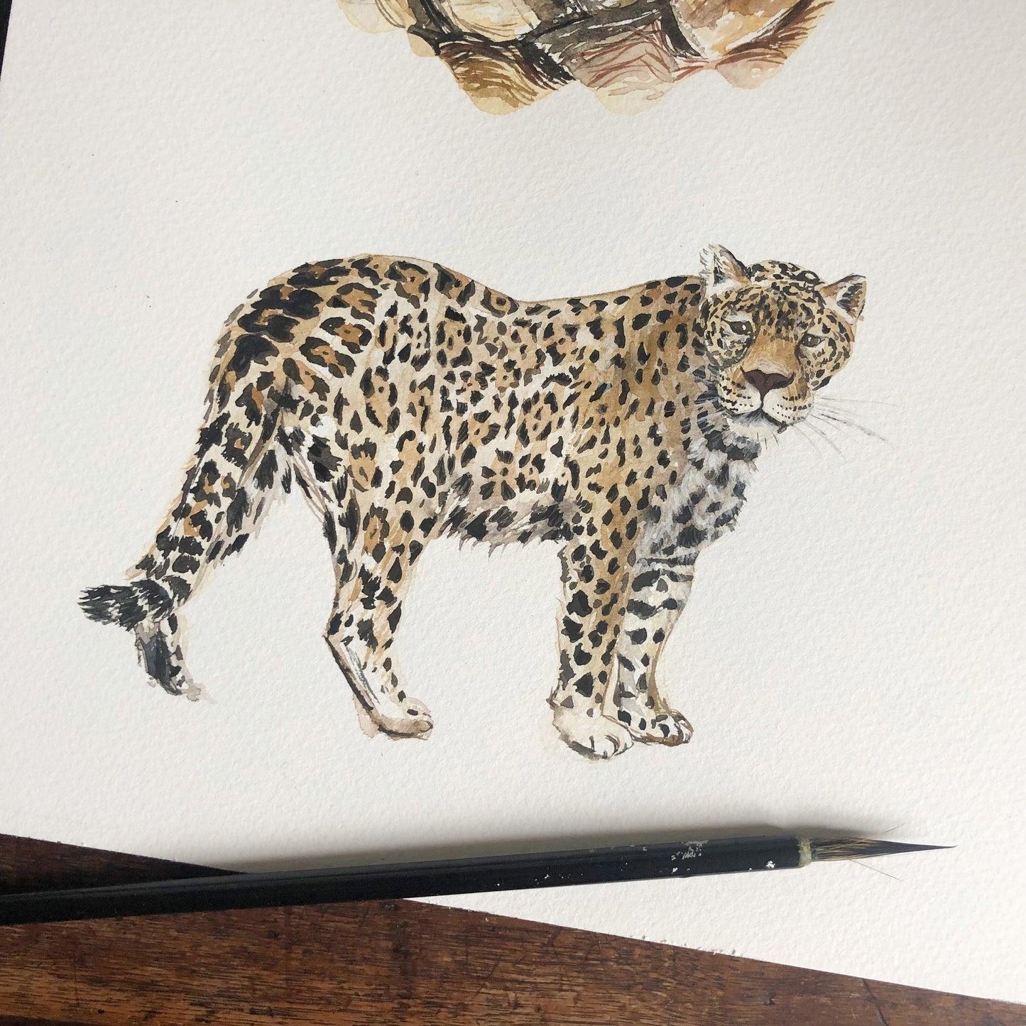 Jaguar Celebration Card