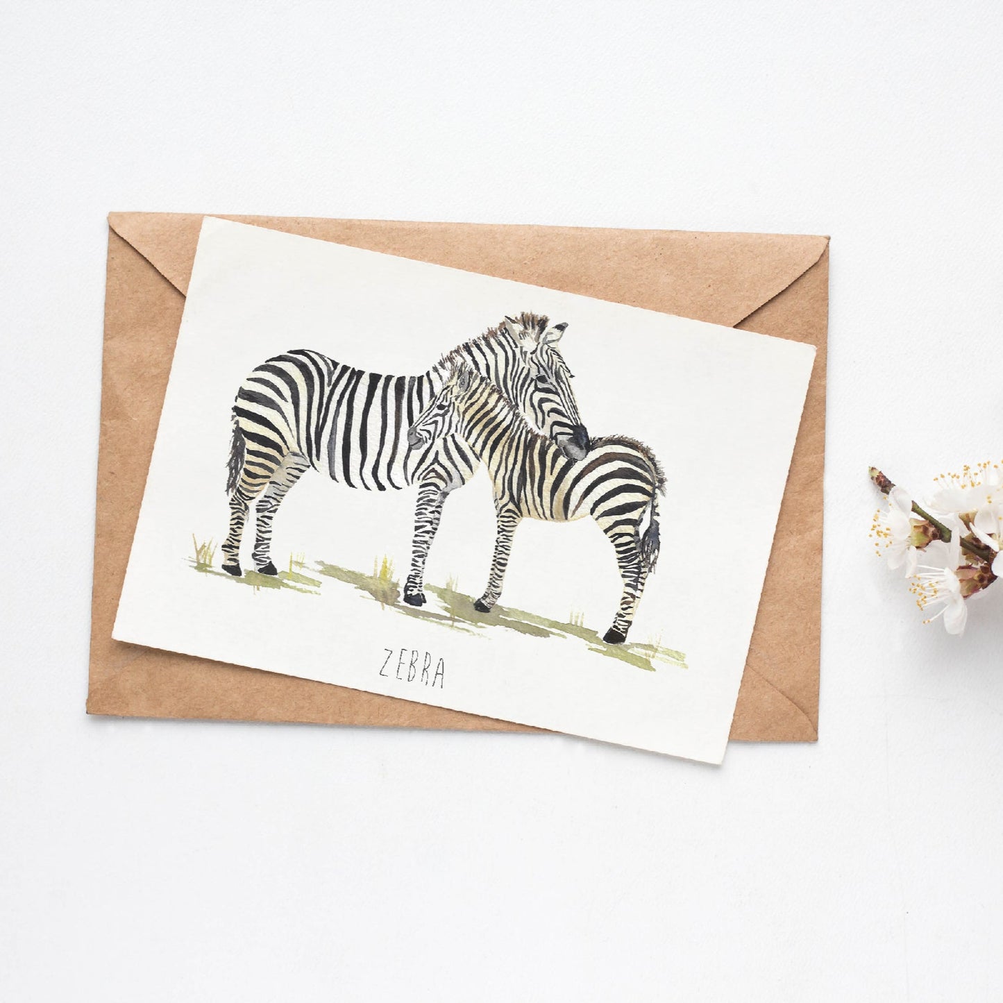 Zebra greetings card